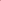 Sakura Matcha